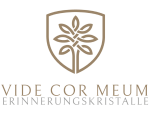 Vide Cor Meum UG